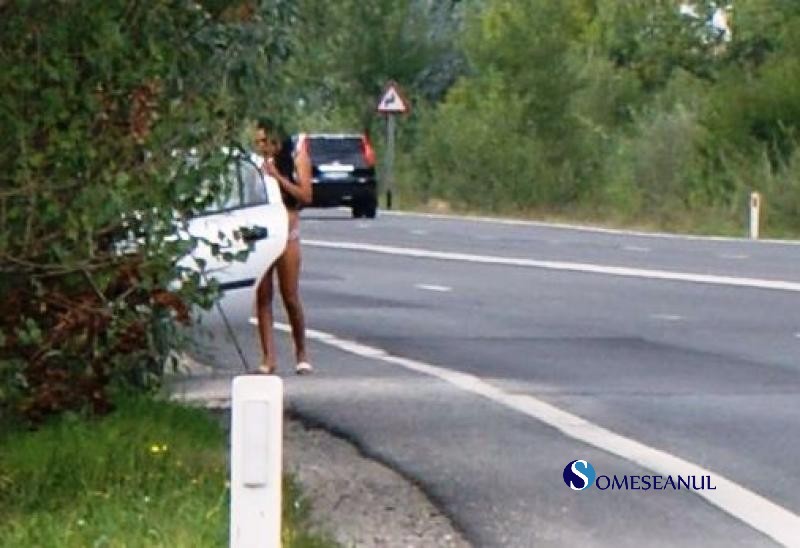 Prostitutes Baia Mare